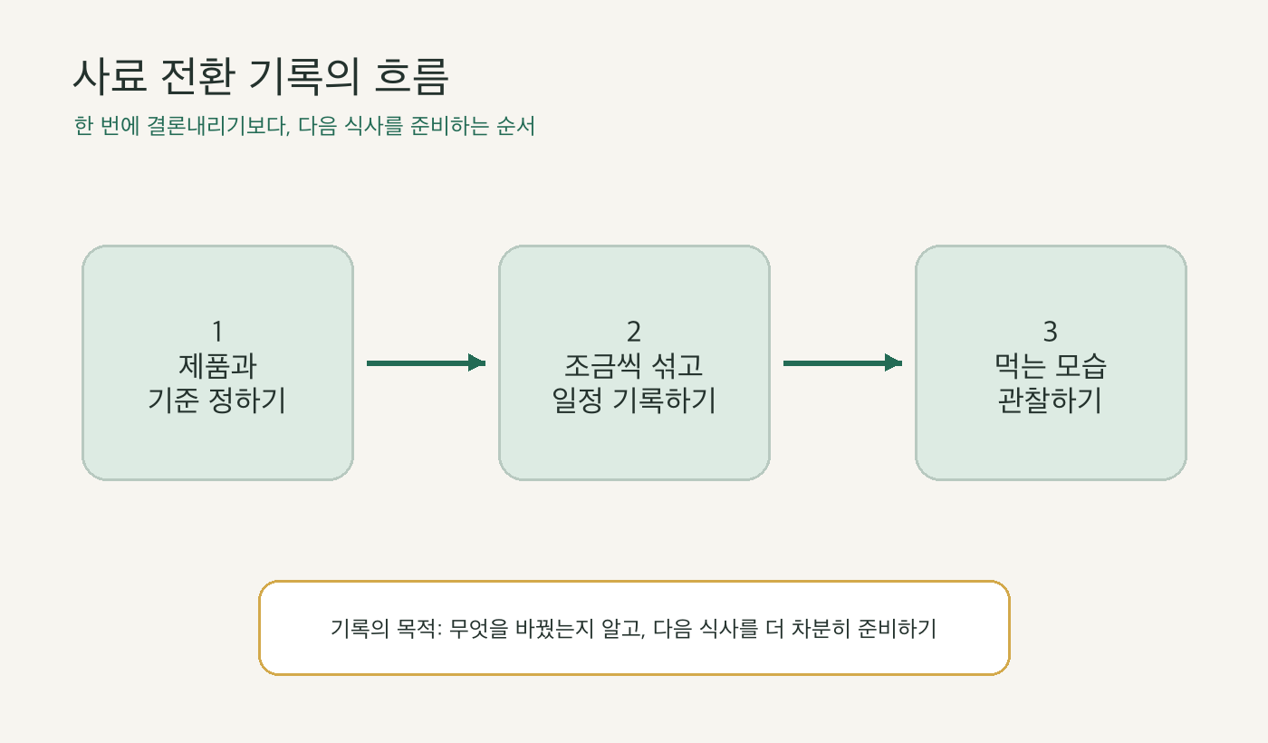 사료 전환 기록의 세 단계 흐름을 보여주는 인포메이션 그래프